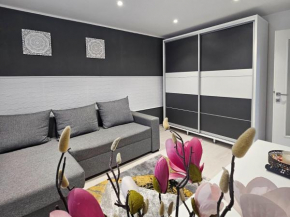Apartament Zarnesti VMP